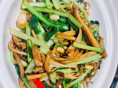 -同乐馆(阳光店)