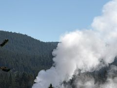 -老忠实间歇泉
