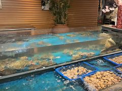 -盛宴自助餐厅(运达喜来登店)