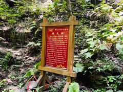 -武当山风景区