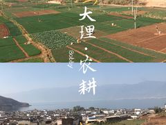 -大冰的小屋(大理古城店)