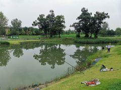 -两河城市森林公园