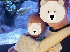 -成都浩海立方海洋公园