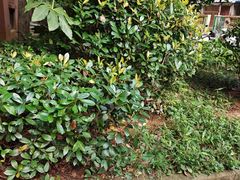 -杨氏青龙虾·羊蝎子(珠江路店)