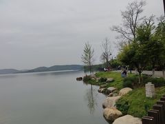 -东湖落雁景区
