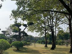 -南宁南湖公园