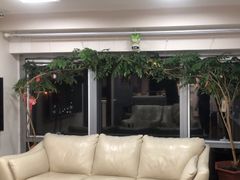 -精德口腔·种植修复·儿牙中心(财富中心店)