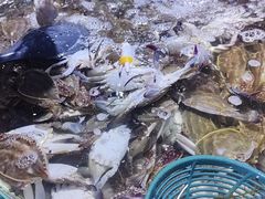 -聚盛源蒸汽海鲜火锅烤肉自助(巨川金海岸购物广场店)