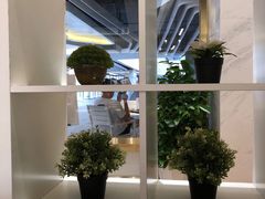 -813芭依珊 BAESAn(汇港购物中心店)