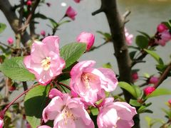 -艾溪湖湿地公园