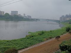 -新津老码头旅游小镇