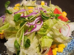 蔬菜沙拉-五道双马·双马餐厅(五道口店)
