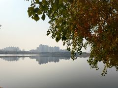 -金银湖国家城市湿地公园