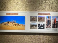 -巴音郭楞蒙古自治州博物馆