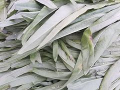 -秦皇岛海阳农副产品批发市场