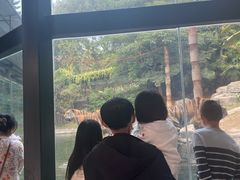 -深圳野生动物园