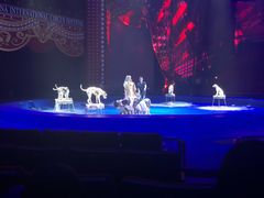 -珠海横琴长隆《卡卡虎奇遇记》