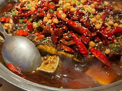 -鱼上·烤鱼(和安宁春城店)