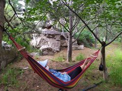 -大兴滨河森林公园