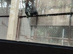-昆明动物园