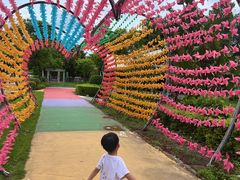 -广东花都香草世界旅游度假区
