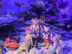 -成都泰迪熊博物馆