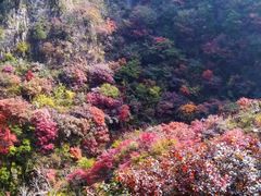 -黄花溪