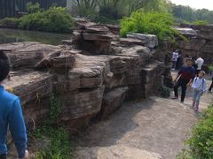 -圩墩遗址公园