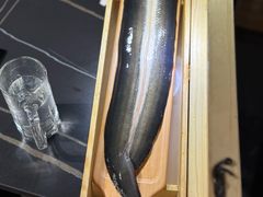 -银座苑烧肉酒场·烤活鳗(仙霞路店)