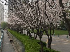 -上海外国语大学(虹口校区)
