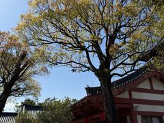 -东部华侨城