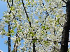 -永乐路-路侧停车场