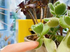 -隹木咖啡馆(宝龙广场店)