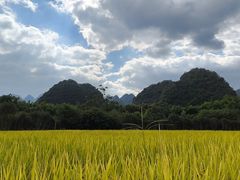 -万峰林风景区