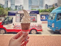 -富豪雪糕车流动点(尖沙咀店)