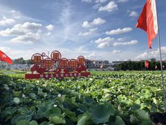 -毛泽东才溪乡调查旧址景区
