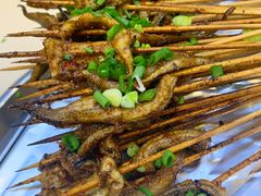 鳝鱼-晓靖轩烧烤(沙河风情店)