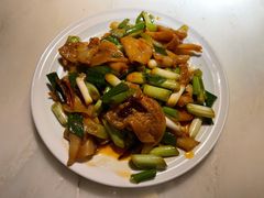 拌鸟贝-日丰园海肠水饺·老字号大连海鲜(和平广场店)