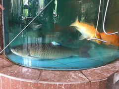 -老友王·南宁特色菜(金汇如意坊店)