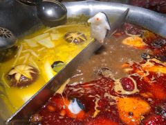 -湊湊火锅·茶憩(石家庄万象城店)