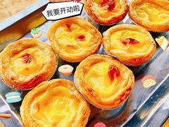 -亲兄弟真人CS团建拓展基地