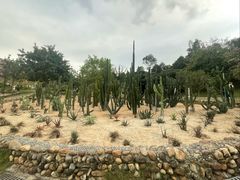 -东莞植物园