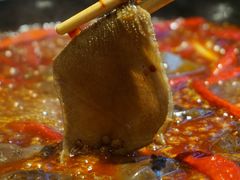 -蜀辣居鲜货老火锅(万象城店)