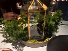 -THE WANG王品(上海中心云端店)