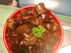 东北黑木耳-老灶堂文创火锅(文艺路店)