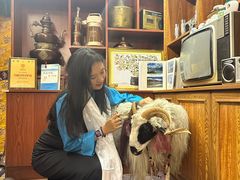 -吉祥圣雪藏餐