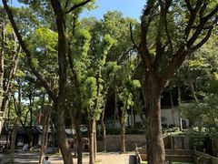 -宁波市保国寺古建筑博物馆