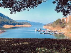 -逸廊大堂吧-下午茶·简餐-千岛湖自由洲际殿