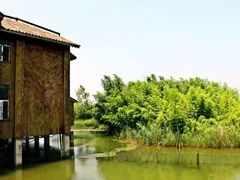 -泗洪洪泽湖湿地景区