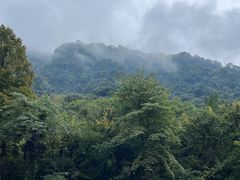 -青城山